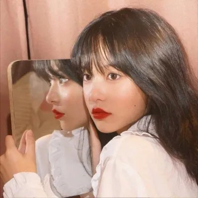 狮子护卫队第二季